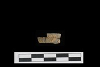 藏品(陶環)的圖片