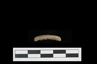 藏品(陶環)的圖片