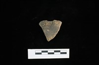 藏品(陶片)的圖片