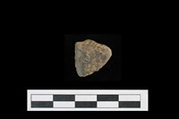 藏品(陶片)的圖片