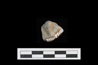 藏品(陶片)的圖片