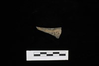 藏品(陶片)的圖片