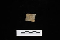 藏品(陶片)的圖片