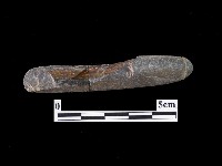 藏品(網墜)的圖片