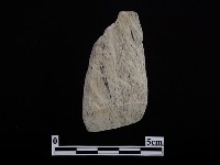 藏品(錛鑿形器)的圖片