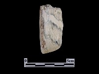 藏品(錛鑿形器)的圖片