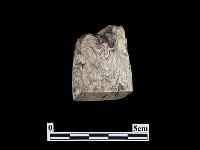 藏品(錛鑿形器)的圖片