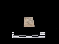 藏品(帶加工痕石材)的圖片