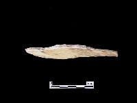 藏品(帶加工痕石材)的圖片