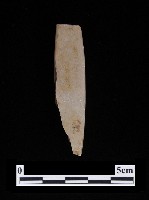 藏品(錛鑿形器)的圖片