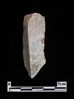 藏品(錛鑿形器)的圖片