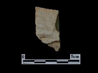 藏品(帶加工痕石材)的圖片