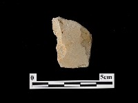 藏品(錛鑿形器)的圖片