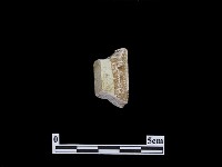 藏品(帶加工痕石材)的圖片