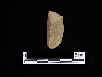 藏品(錛鑿形器)的圖片