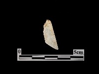 藏品(錛鑿形器)的圖片