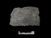 藏品(磨製石器)的圖片