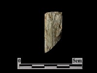 藏品(錛鑿形器)的圖片