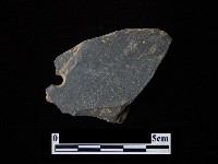 藏品(石鏟)的圖片