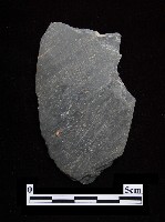 藏品(石鏟)的圖片