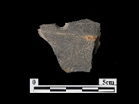 藏品(磨製石器)的圖片