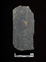 藏品(帶加工痕石材)的圖片