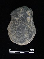 藏品(石片器)的圖片