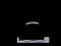 藏品(帶加工痕石材)的圖片