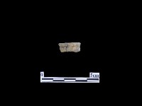 藏品(磨製有刃石器)的圖片