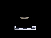 藏品(磨製有刃石器)的圖片