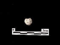 藏品(帶加工痕石材)的圖片