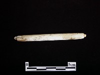 藏品(玉墜飾)的圖片