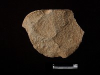 藏品(石片器)的圖片