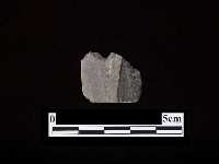 藏品(磨製石器)的圖片