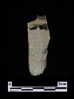 藏品(錛鑿形器)的圖片