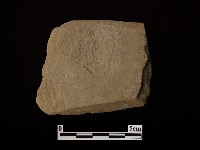 藏品(矛鏃形器)的圖片