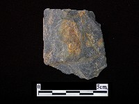 藏品(帶加工痕石材)的圖片