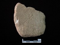 藏品(網墜)的圖片