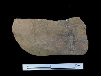 藏品(砥石)的圖片