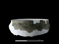 藏品(陶缽)的圖片