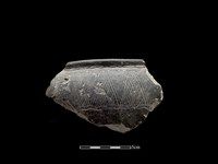 藏品(陶缽)的圖片