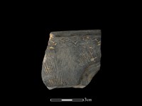 藏品(陶缽)的圖片