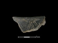 藏品(陶缽)的圖片