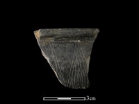 藏品(陶缽)的圖片