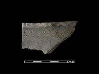 藏品(陶缽)的圖片