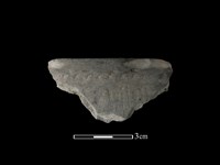 藏品(陶缽)的圖片