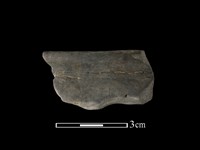 藏品(陶缽)的圖片