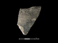 藏品(陶缽)的圖片