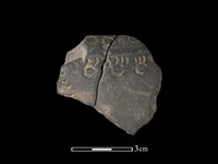 藏品(陶缽)的圖片