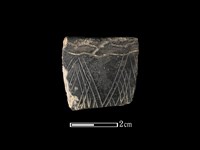 藏品(陶缽)的圖片